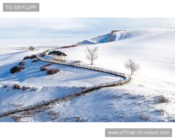 新疆防守覆盖面积巨大